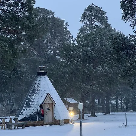 Kotimajoitukset & Inari